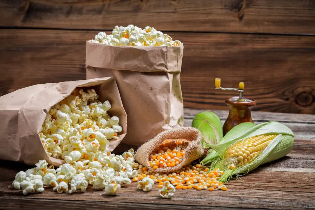 Verschiedene Popcorn-Varianten und Mais